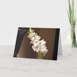 Gladioli, card