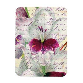 Gladiolus Art Calligraphy Collage Magnet by EveyArtStore at Zazzle