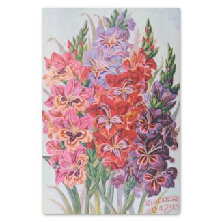 Gladiolus Color Vintage Floral Tissue Paper