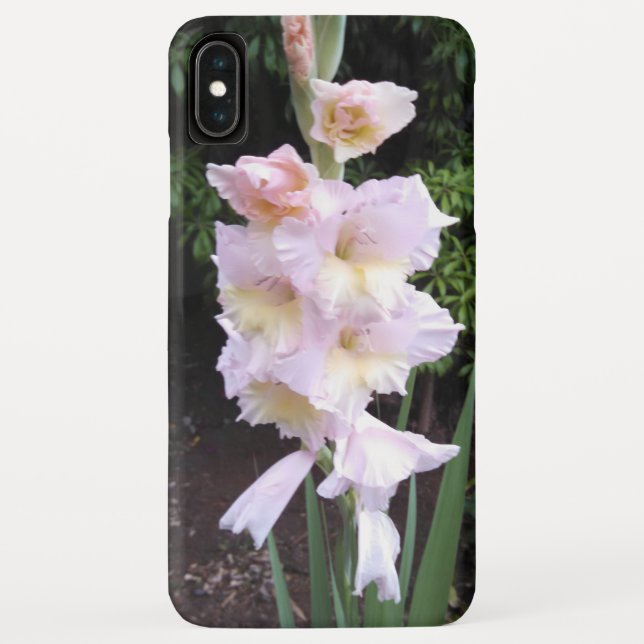 Gladiolus Flowers iPhone Case (Back)