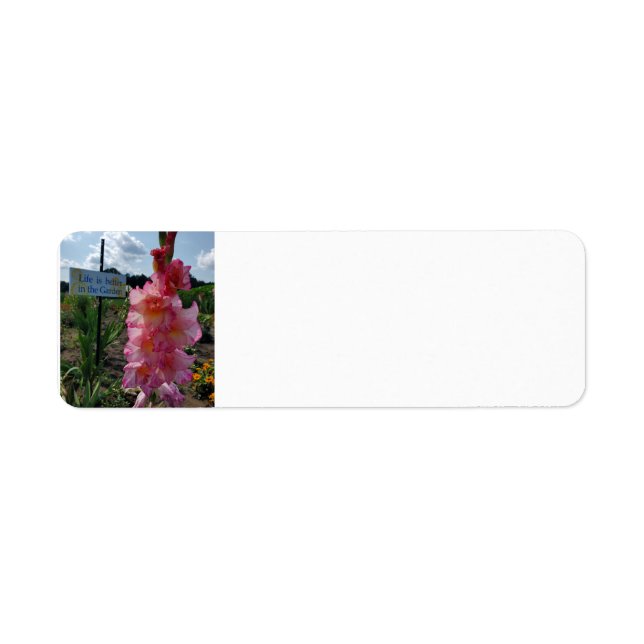 Gladiolus Garden Label (Front)