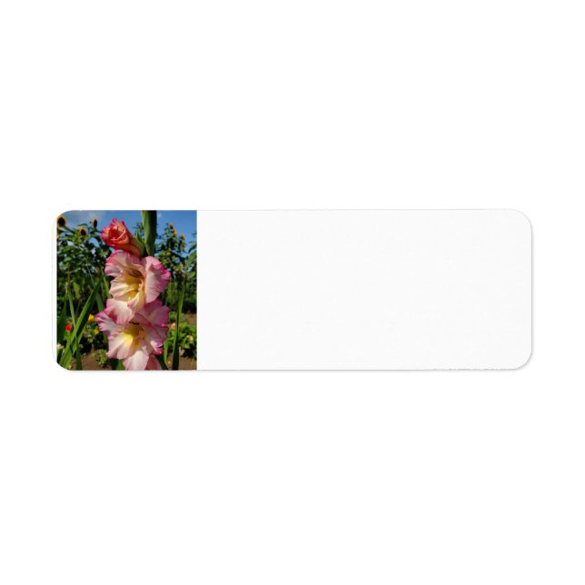 Gladiolus Label (Front)