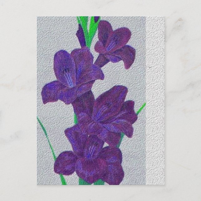gladiolus postcard (Front)