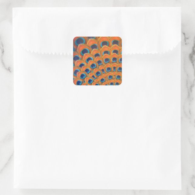 Glam Boho Orange Blue Peacock Feathers Square Sticker (Bag)