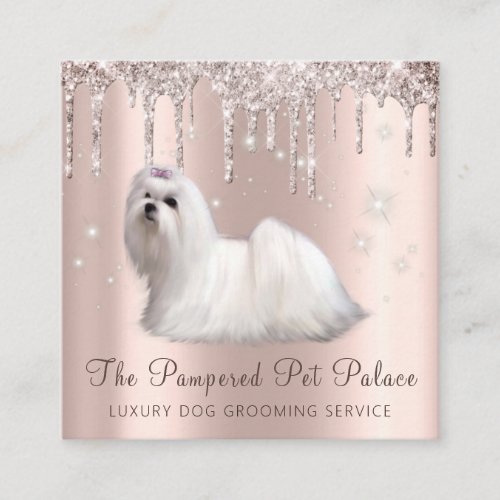 Glam Gold Rose Glitter Drips Maltese Pet Grooming Square Business Card