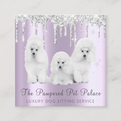 Glam Lavender Glitter Drips Poodle Pet Sitting Square Business Card