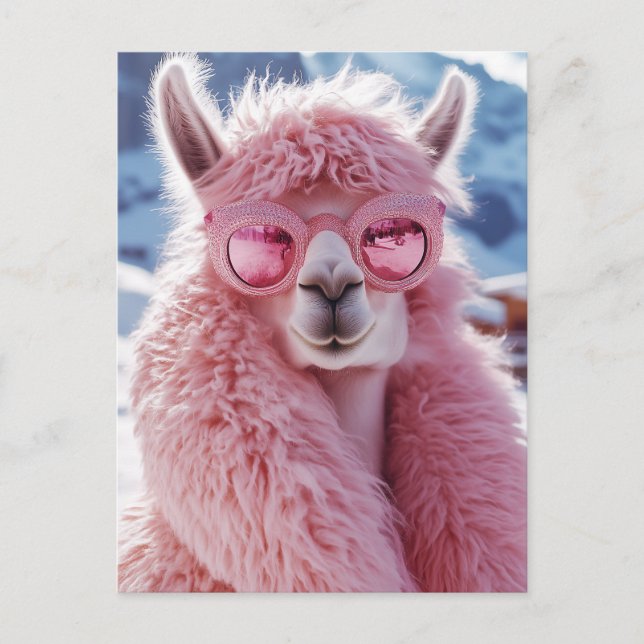 Glamorous Pink Llama - Winter Fashion Icon Postcard (Front)