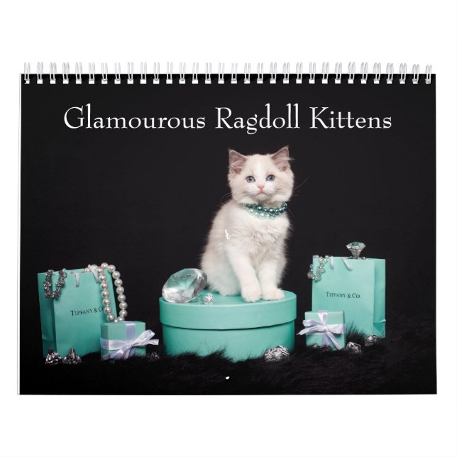 Glamorous Ragdoll Kittens Calendar (Cover)