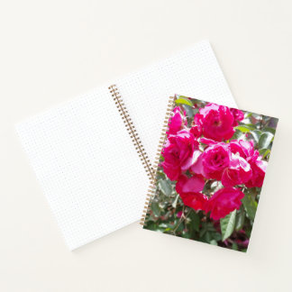 Glamorous Roses Bullet Notebook