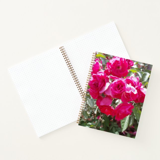 Glamorous Roses Bullet Notebook (Inside)