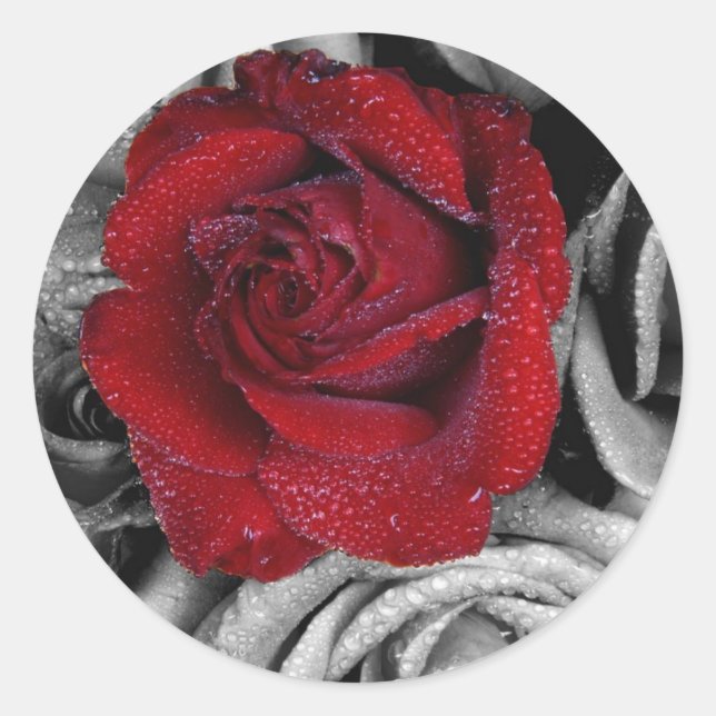 Glamorous roses classic round sticker (Front)