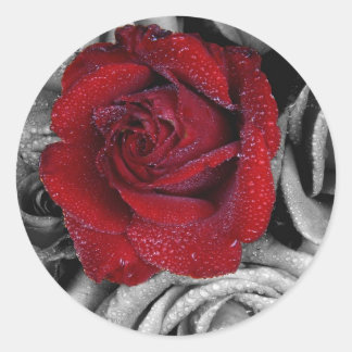 Glamorous roses classic round sticker