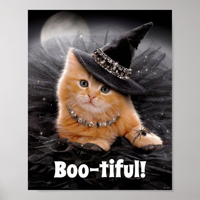 Glamorous Witch Kitten Poster (Front)