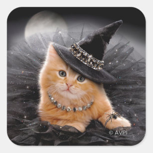 Glamorous Witch Kitten Square Sticker