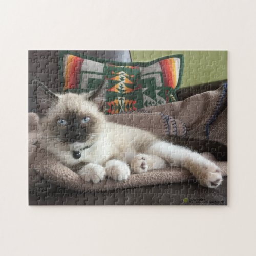 Glamour Blue Eyed Siamese Kitten Photograph Jigsaw Puzzle