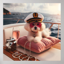 Glamour fashion luxury lifestyle photo