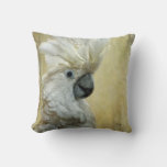 Glamour Girl Pillow By Lois Bryan at Zazzle