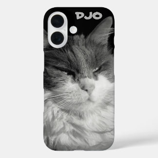Glare of the Bat Cat iPhone 16 Case