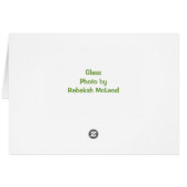 Glass Cards (Back Horizontal)