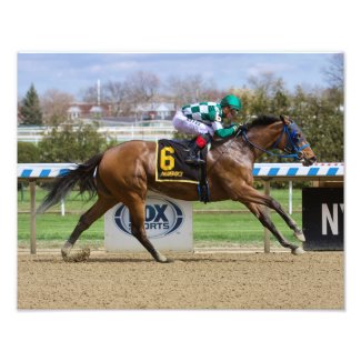 Glass Ceiling Shatters the Distaff Stakes Photo Pr