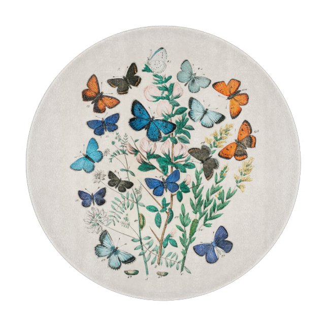 GLASS CHOPPING BOARD : ANTIQUE PRINT : BUTTERFLIES (Front)