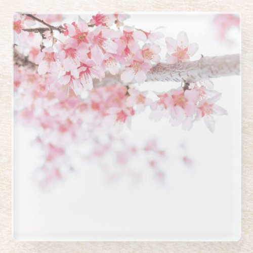 GLASS COASTER  CHERRY BLOSSOM