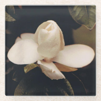 Glass Coaster with a Magnolia Blossom Design