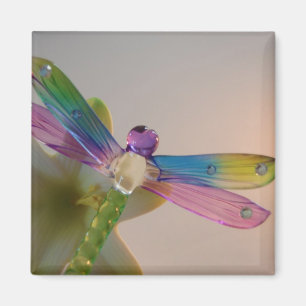Glass Dragonfly Magnet