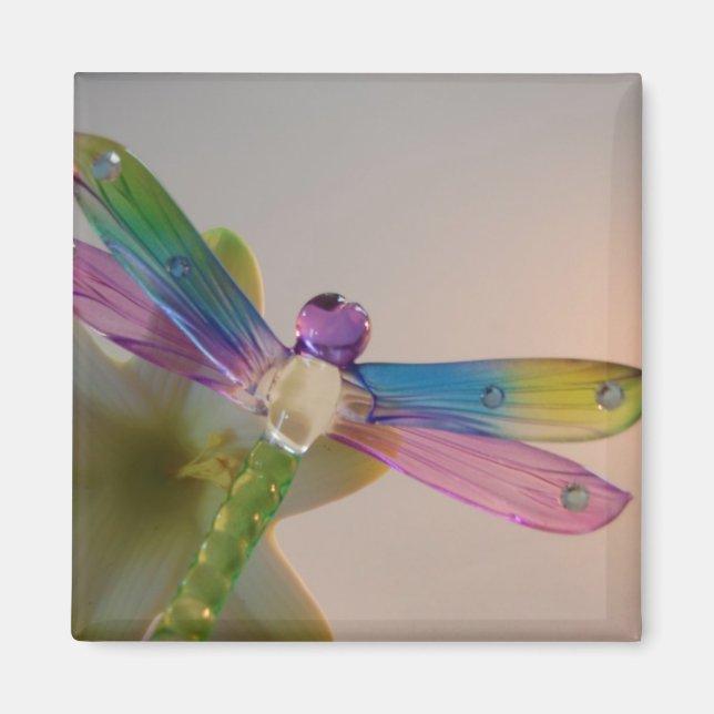 Glass Dragonfly Magnet (Front)