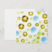 glass garden no. 3 (Front/Back)