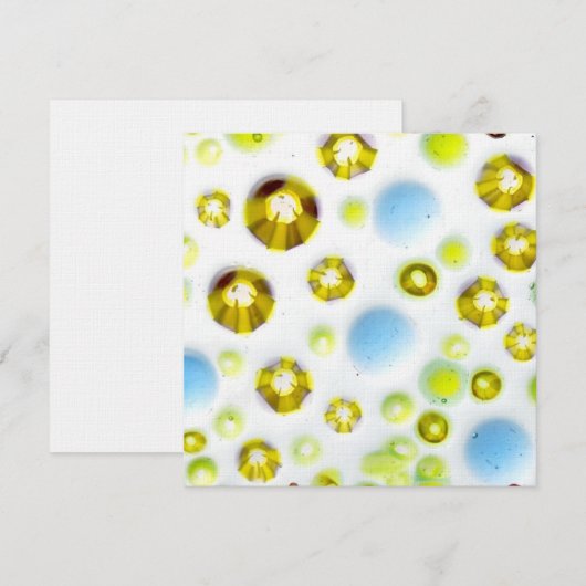 glass garden no. 3 (Front/Back)