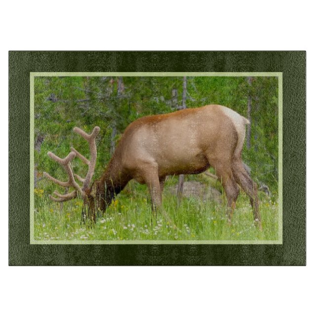 Glass Kitchen Cutting Board - Yellowstone Elk (Front)