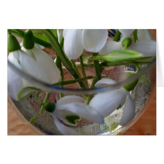 glass of snowdrops (Front Horizontal)