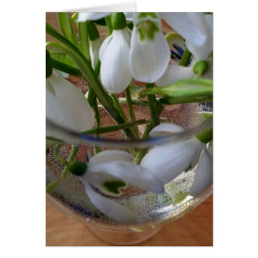 glass of snowdrops cards (Front)
