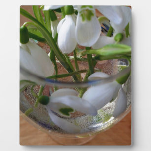 glass of snowdrops plaque