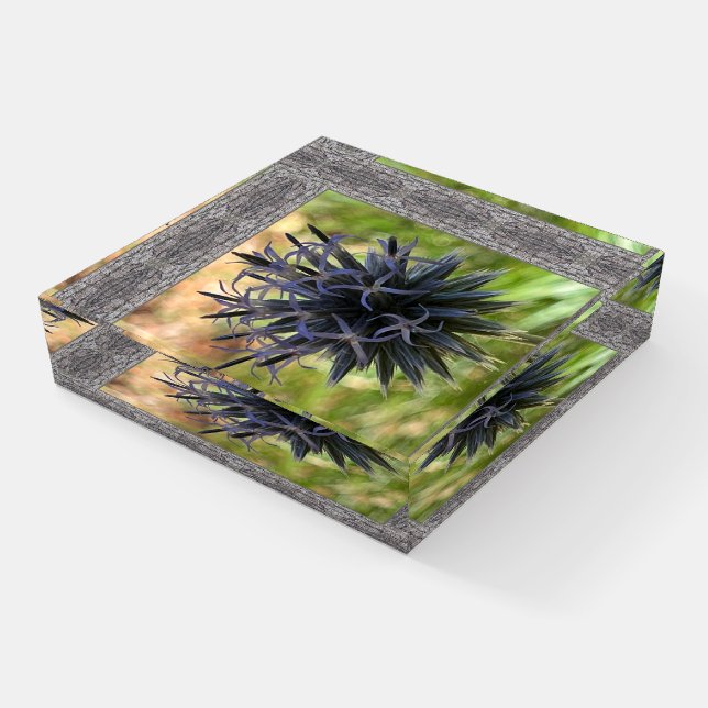 Glass Paperweight With Purple Globe Thistle (Angled)