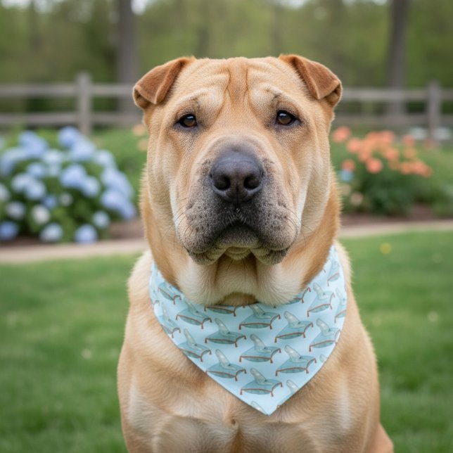 Glass Slipper Pet Bandana Collar (Creator Uploaded)