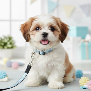 Glass Slipper Pet Leash