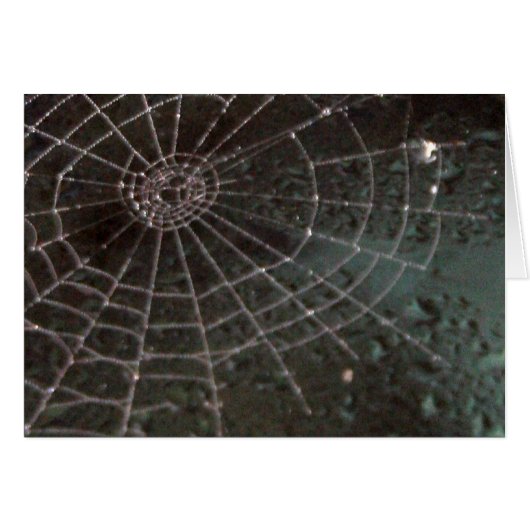 Glass Spider Web Cards (Front Horizontal)