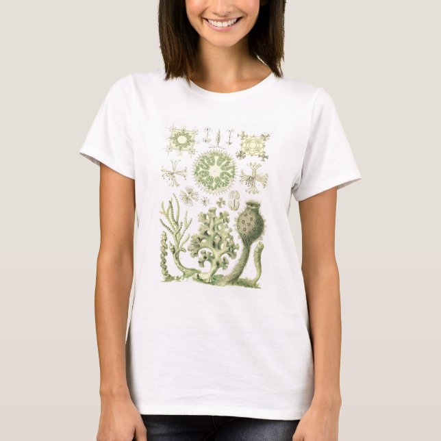Glass sponges T-Shirt (Front)