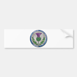 Glass Thistle Bumper Sticker