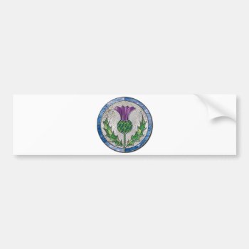 Glass Thistle Bumper Sticker by inkles at Zazzle