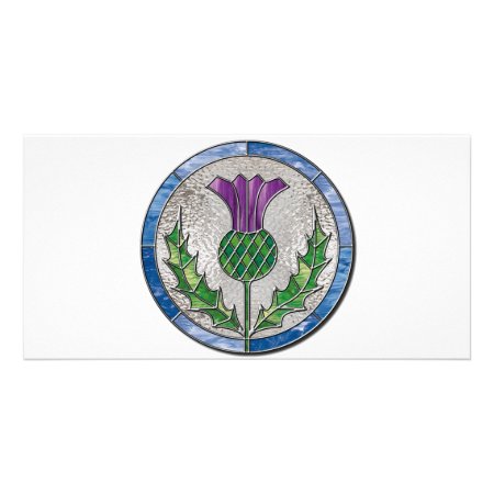 Glass Thistle Card