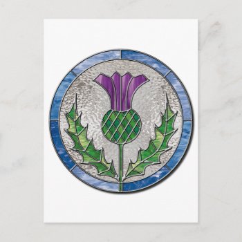 Glass Thistle Postcard by inkles at Zazzle
