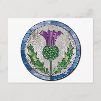 Glass Thistle Postcard by inkles at Zazzle