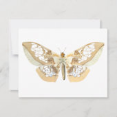 GlassWing Butterfly (Front)