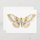 GlassWing Butterfly (Front/Back)