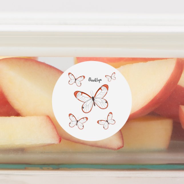 Glasswing butterfly cartoon illustration labels (Affixed)