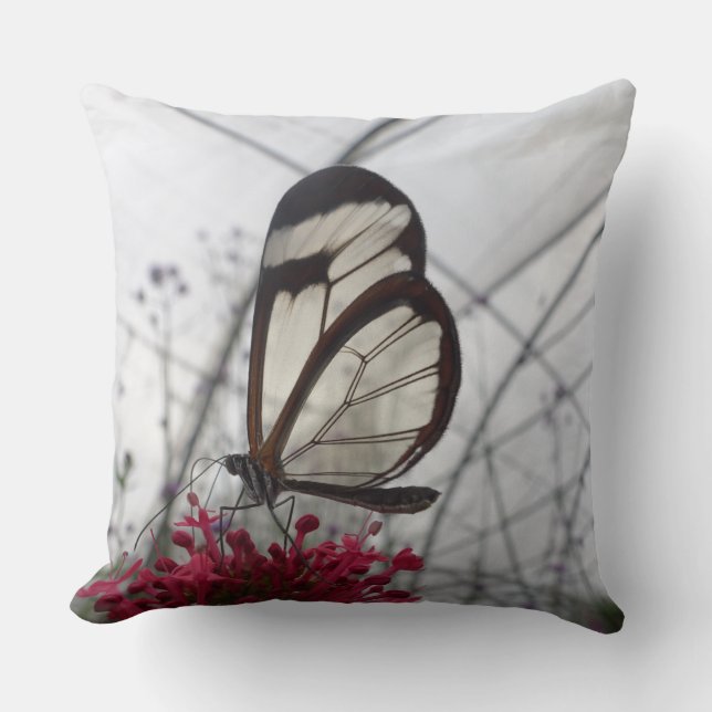 Glasswinged Butterfly on Flower Throw Pillow (Front)