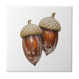 Glassy Acorns Ceramic Tile
